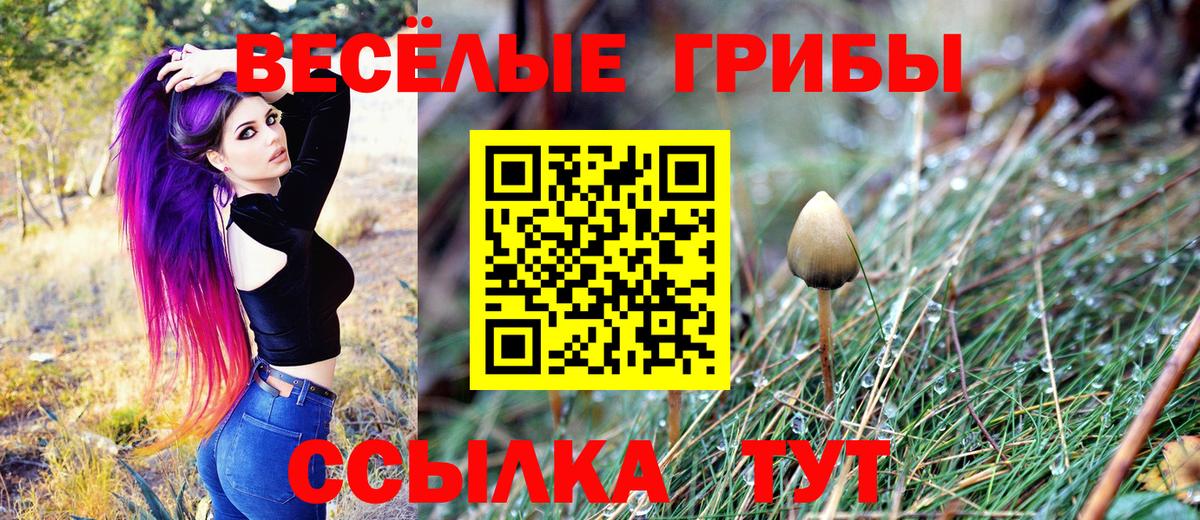 Галлюциногенные грибы MAGIC MUSHROOMS  Вход с VPN  Учалы  Псилоцибиновые грибы Psilocybe 